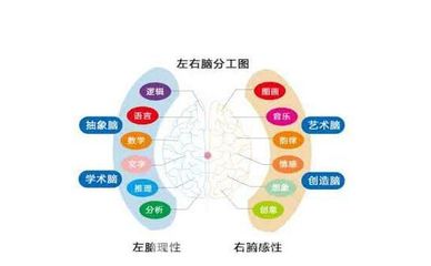 全脑潜能开发教育加盟费多少钱总部