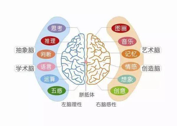 全脑潜能开发体验课(5-18岁)-在线订票-互动吧