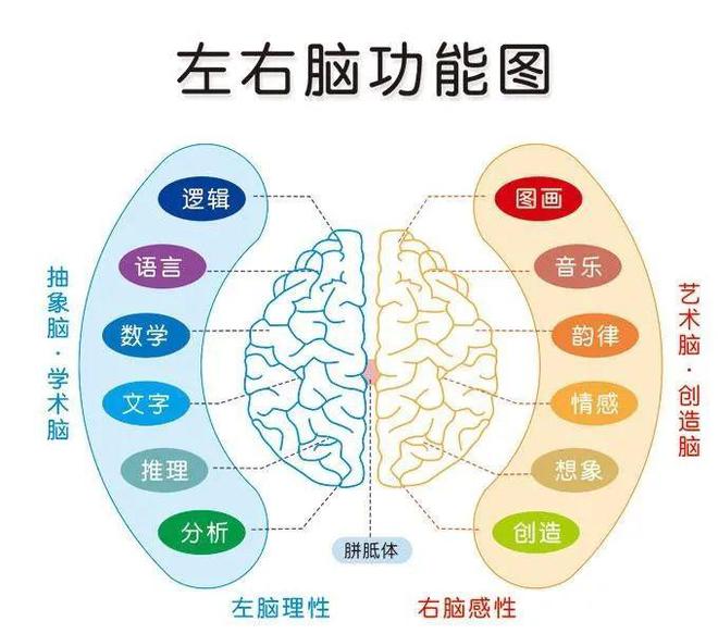 3~8岁益智游戏书《全脑潜能训练》,抓住大脑发育黄金期训练五大潜能!亲子共读,寓教于乐!