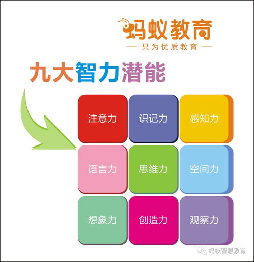 全脑潜能开发的10个技巧,让孩子变得更聪明