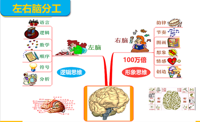 最全的全脑潜能开发训练方法汇总