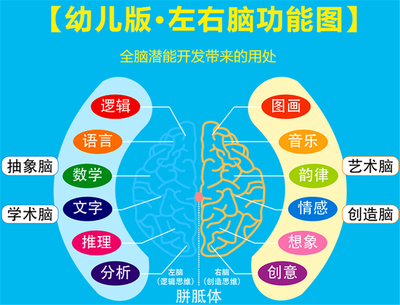 美国心理学家研究发现:高智商儿童确实有共同点,但和遗传没关系